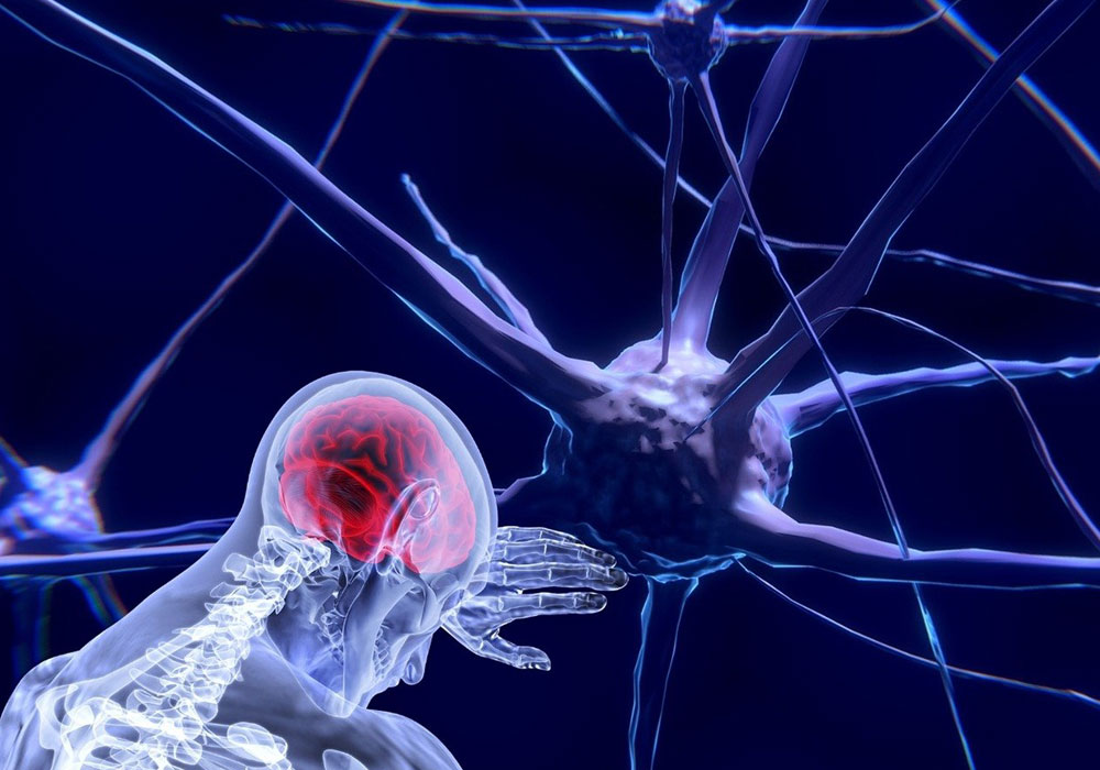 Sistema nervoso: al via il secondo NeuroTech Day per promuovere la ricerca in neuroscienze e neuroriabilitazione